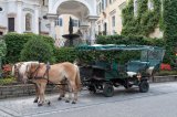 Horse Carriage in Sankt Wolfgang im Salzkammergut, Gmunden, Upper Austria