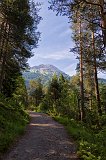 Surrounding Hiking Trail, Lake Blindsee, Biberwier, Tyrol, Austria