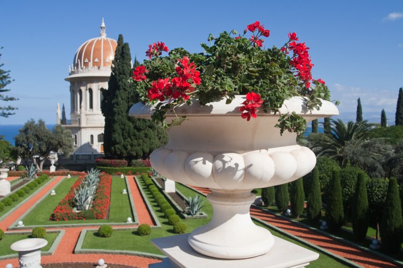 The Baha'i Gardens in Haifa - the central terrace | The Baha'i Gardens in Haifa (IMG_3834.jpg)