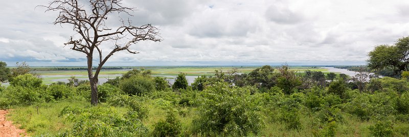 Panoramic View of Chobe River, Chobe National Park | Chobe National Park - Botswana (IMG_0652to62.jpg)