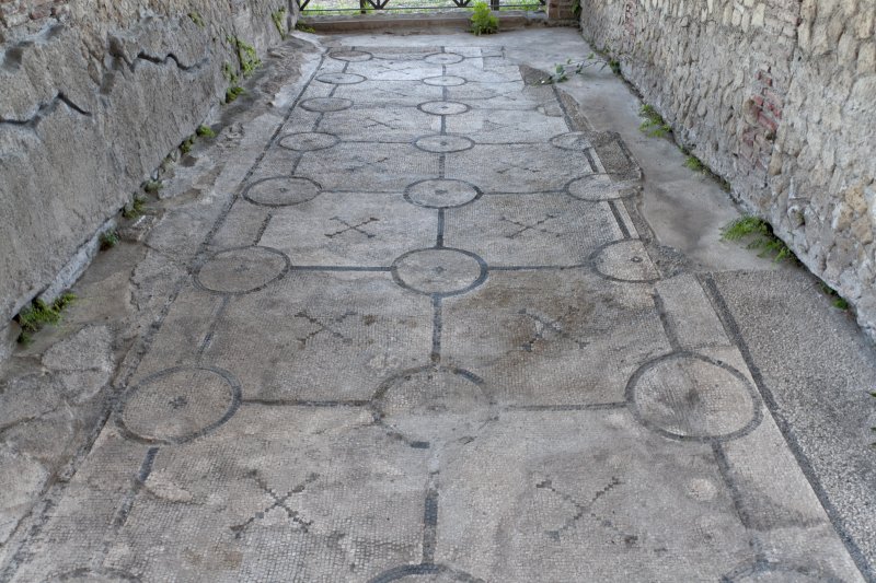 Mosaic floor in the Archaeological Park of Baia | The Roman Thermae in the Archaeological Park of Baia (IMG_1524.jpg)