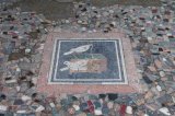 Mosaic floor at the left of the atrium in House of the Faun, Pompeii