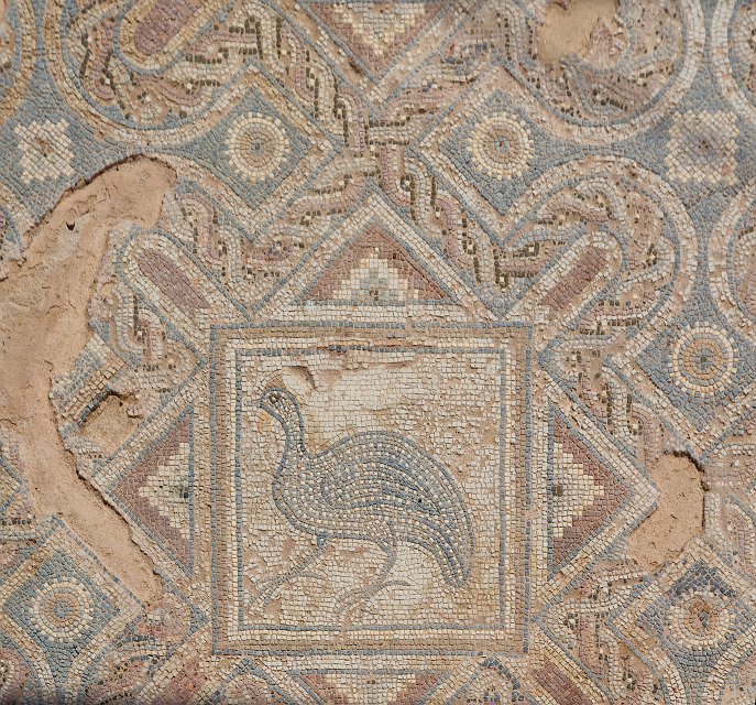 Guinea Hen Mosaic, House of Eustolius, Kourion, Cyprus | Cyprus - Southwest (IMG_2382.jpg)