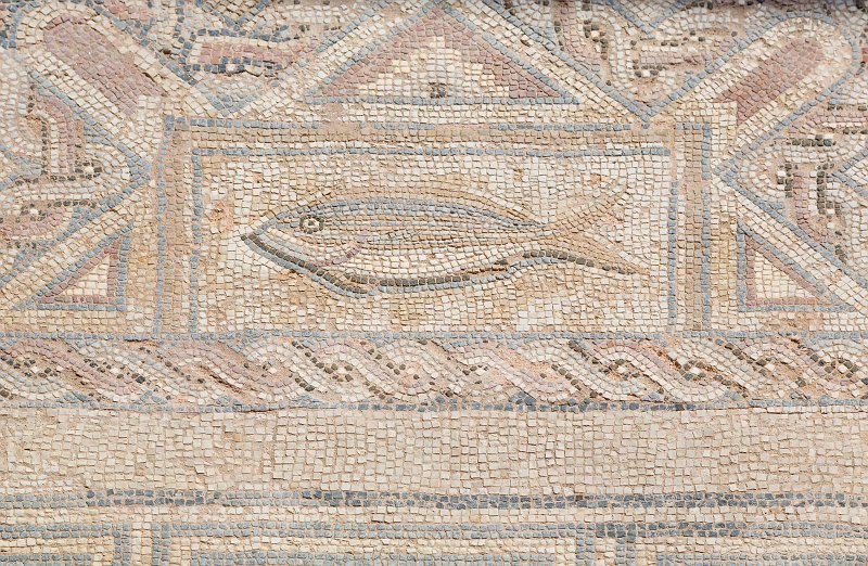 Fish Mosaic, House of Eustolius, Kourion, Cyprus | Cyprus - Southwest (IMG_2388.jpg)