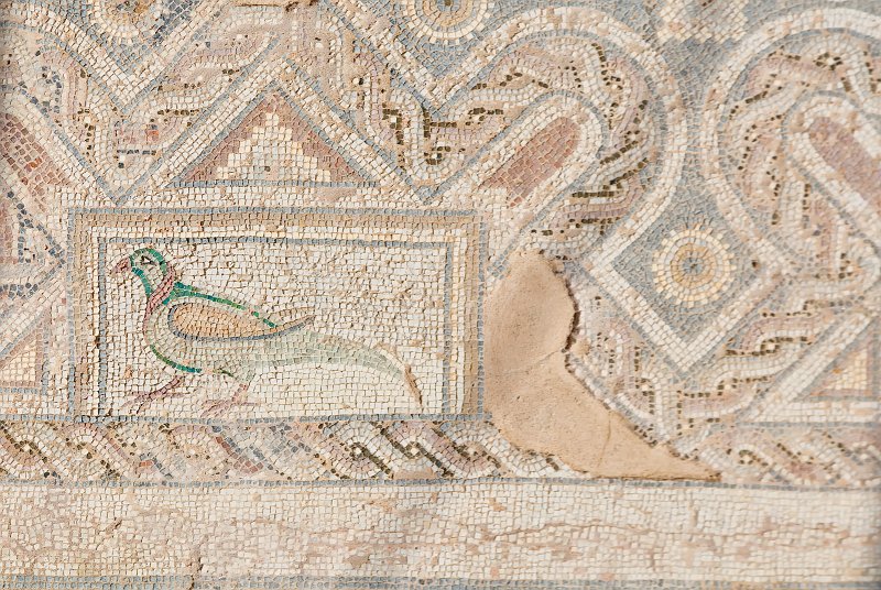 Pheasant Mosaic, House of Eustolius, Kourion, Cyprus | Cyprus - Southwest (IMG_2389.jpg)