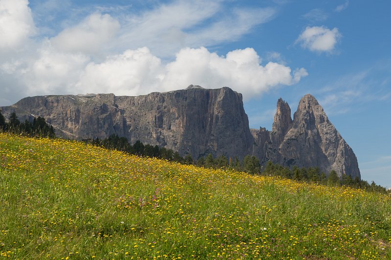 Alpe di Siusi and Sciliar Massif (Schlern Sciliar), South Tyrol, Italy | The Dolomites I (IMG_3015.jpg)