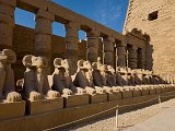 Ram-Headed Sphinx Statues at Forecourt, Temple of Amun-Re, Karnak