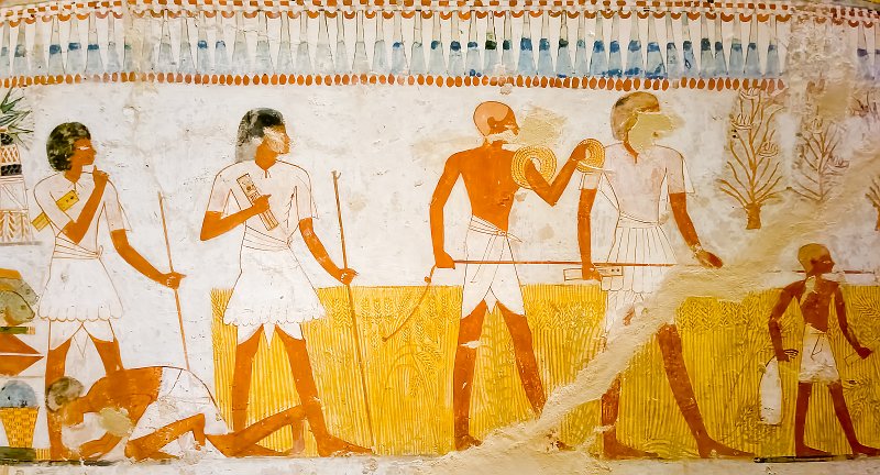 Measuring the Crops, Tomb of Menna, Sheikh Abd el-Qurna | The Valley of the Nobles - Sheikh Abd el-Qurna, Egypt (20230219_113310.jpg)