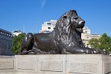 A Lion at Nelson's Column, Trafalgar Square, Westminster