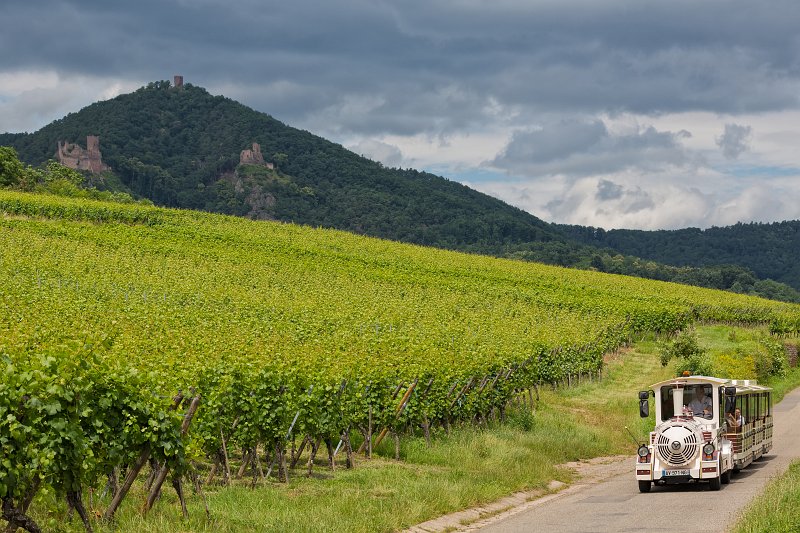 Little White Train in Alsace Wine Route, Ribeauvillé, Alsace, France | Alsace and Lorraine, France (IMG_3790.jpg)