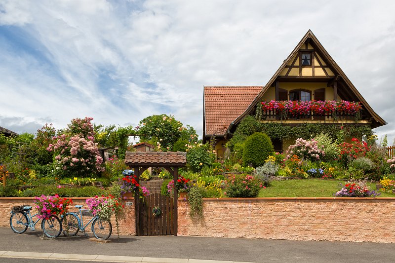 House and Blooming Garden, Herrlisheim-près-Colmar, Alsace, France | Alsace and Lorraine, France (IMG_4526.jpg)
