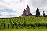 Saint-Jacques-le-Majeur Church and Vineyards, Hunawihr, Alsace, France