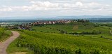 Panoramic View of Zellenberg, Alsace, France