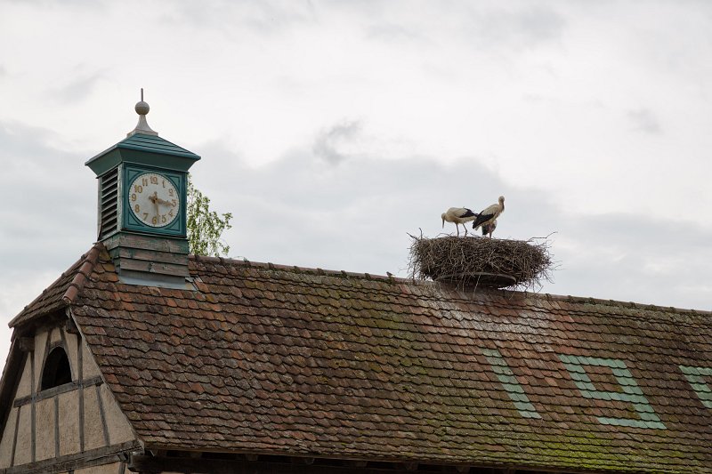 Storks Nest, Open Air Museum of Alsace, Ungersheim, France | Open Air Museum of Alsace - Ungersheim, France (IMG_4311.jpg)