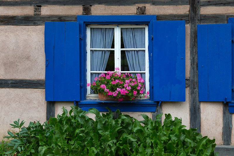 Window and Geranium Flowers, Open Air Museum of Alsace, Ungersheim, France | Open Air Museum of Alsace - Ungersheim, France (IMG_4338.jpg)