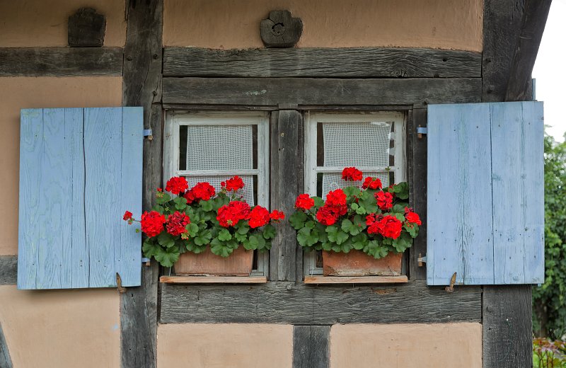Windows and Red Geraniums, Open Air Museum of Alsace, Ungersheim, France | Open Air Museum of Alsace - Ungersheim, France (IMG_4432_2.jpg)