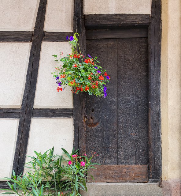 Old Door and Flowers, Eguisheim, Alsace, France | Eguisheim - Alsace, France (IMG_4034_2.jpg)