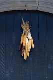 Dried Corn Ears on a Door, Eguisheim, Alsace, France