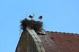Storks Nest on Roof of Saints Peter and Paul Church, Eguisheim, Alsace, France