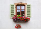 Window and Geraniums, Eguisheim, Alsace, France