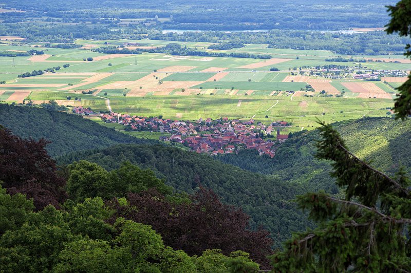 Orschwiller as seen from the Grand Bastion, Haut-Koenigsbourg Castle | Haut-Koenigsbourg Castle - Alsace, France (IMG_3131.jpg)