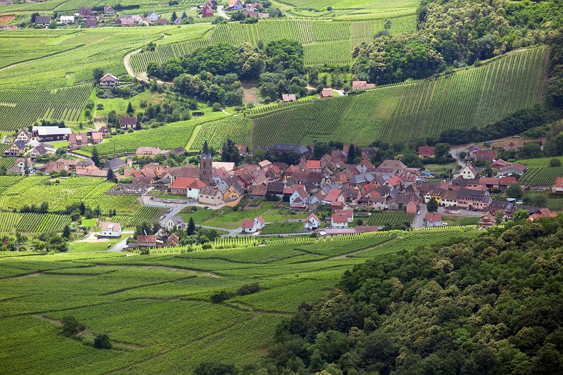 Rodern as seen from Grand Bastion, Haut-Koenigsbourg Castle | Haut-Koenigsbourg Castle - Alsace, France (IMG_3178.jpg)