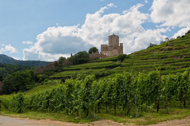 Kaysersberg Castle, Kaysersberg, Alsace, France | Kaysersberg - Alsace, France (IMG_3925_27.jpg)
