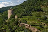 Kaysersberg Castle, Kaysersberg, Alsace, France