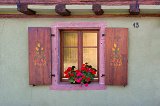 Decorated Window and Flowers, Kaysersberg, Alsace, France