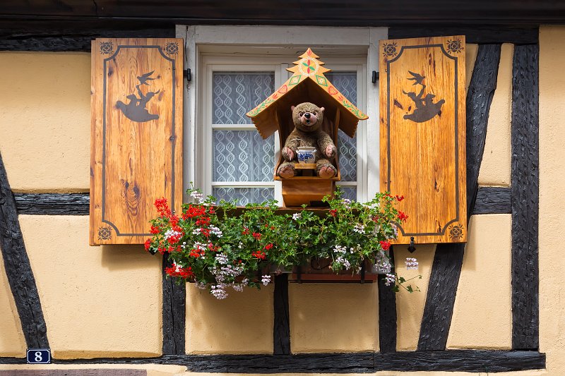 Bear in the Window, Ribeauvillé, Alsace, France | Ribeauvillé - Alsace, France (IMG_3353.jpg)