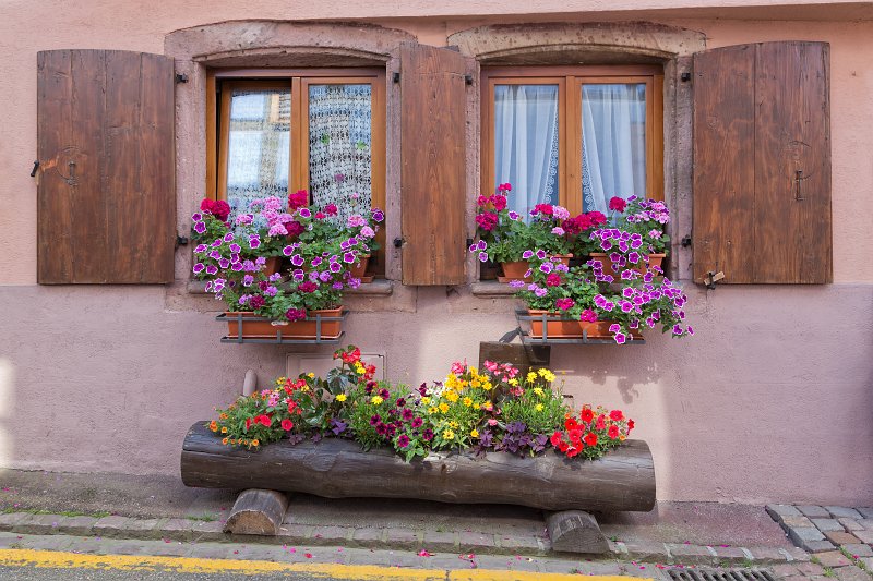 Two Windows and Colorful Flowers, Ribeauvillé, Alsace, France | Ribeauvillé - Alsace, France (IMG_3462.jpg)