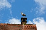 Stork on a Chimney, Ribeauvillé, Alsace, France
