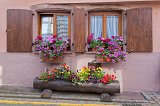 Two Windows and Colorful Flowers, Ribeauvillé, Alsace, France