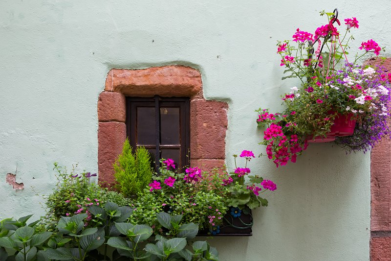 Small Window and Flowers, Riquewihr, Alsace, France | Riquewihr - Alsace, France (IMG_3544.jpg)