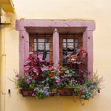 Window and Flowers, Riquewihr, Alsace, France