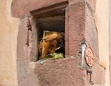 Witch Hiding in the Wall, Riquewihr, Alsace, France