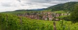 Riquewihr and Vineyards, Alsace, France