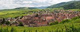 Panoramic View of Riquewihr and Surrounding Vineyards, Alsace, France