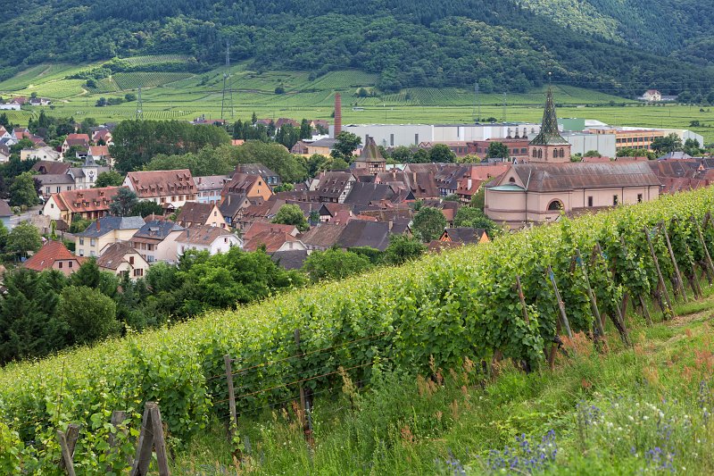 Rooftops of Turckheim, Alsace, France | Turckheim - Alsace, France (IMG_2841.jpg)