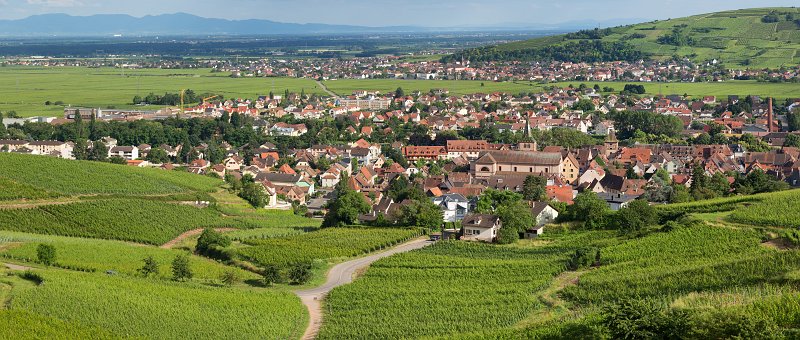 Turckheim and Vineyards, Alsace, France | Turckheim - Alsace, France (IMG_2951_52_53.jpg)