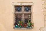 Flowers in a Window, Turckheim, Alsace, France