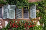 Old Window and Geranium Flowers, Turckheim, Alsace, France