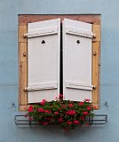 White Window and Red Geraniums, Turckheim, Alsace, France