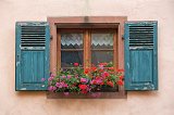 Turquoise Window and Geraniums, Turckheim, Alsace, France