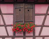 Brown Window and Red Geraniums, Turckheim, Alsace, France