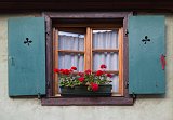 Window and Red Geranium Flowers, Turckheim, Alsace, France