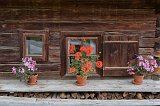 Window and Geranium Flowers, Glentleiten Open Air Museum, Großweil, Germany