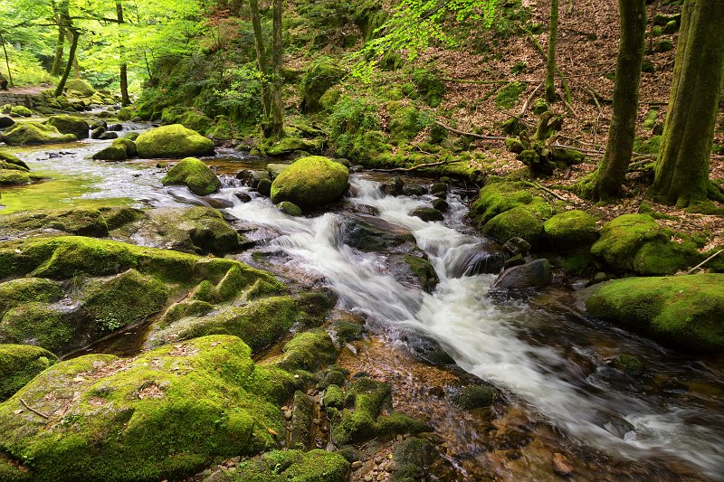 Grobbach Stream, Baden-Baden, Germany | The Black Forest, Germany - Part I (IMG_6954_55.jpg)
