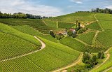 Vineyards of Durbach, Baden-Württemberg, Germany