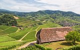Vineyards of Staufenberg Castle, Durbach, Germany